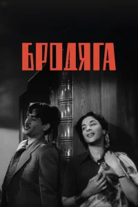  Бродяга 